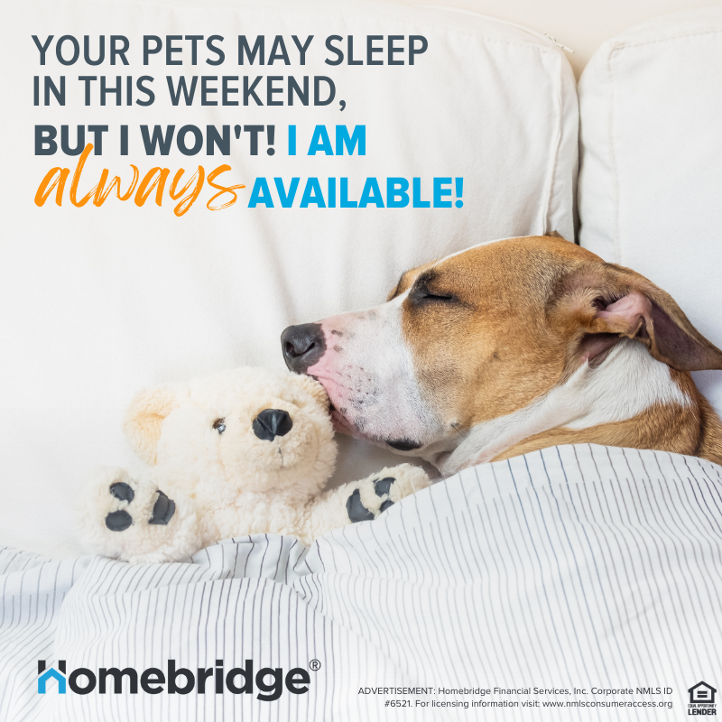 FinanceYourHome's tweet photo. Whether you have a question before or after work hours, on the weekends, or at any other time, I am always here to take your call and assist you in any way I can.

#AlwaysAvailable #Homebridge #MortgageLoanOriginator #WeekendWork https://t.co/DUUbcYyHbU