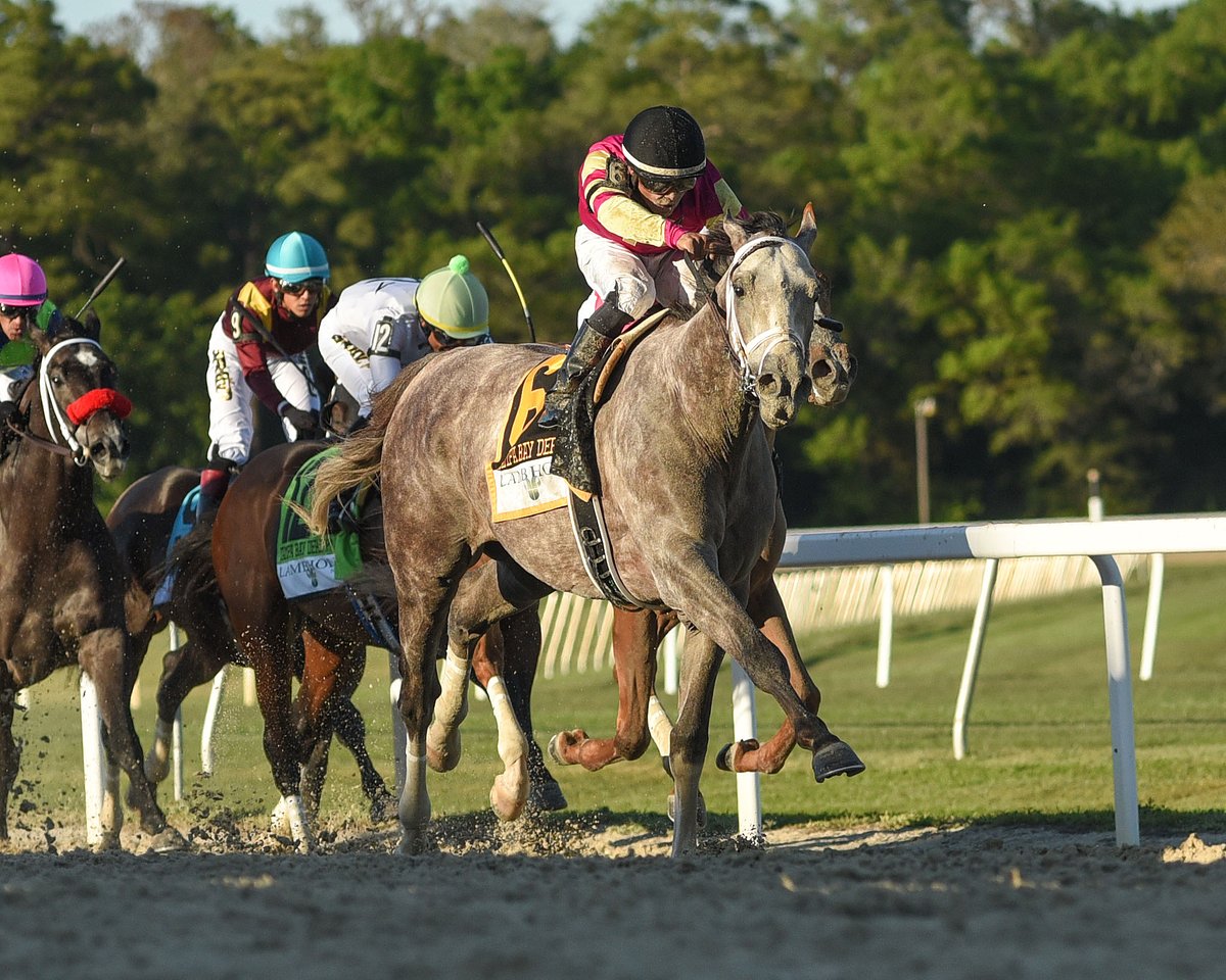 BH_AEberhardt's tweet image. #DerbyPrep #MissesBreak #SlowtoGo BUT quite impressive as #TapitTrice with @luissaezpty makes it look easy through the stretch in G3 #TampaBayDerby @TampaBayDownsFL for @PletcherRacing, owners @whisper_hill and @Gainesway, breeder and home of #Tapit @KeenelandSales grad SV Photo