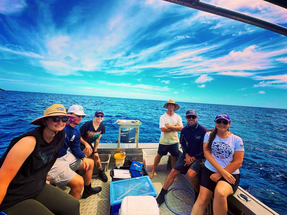 Charlie Huveneers tweet media