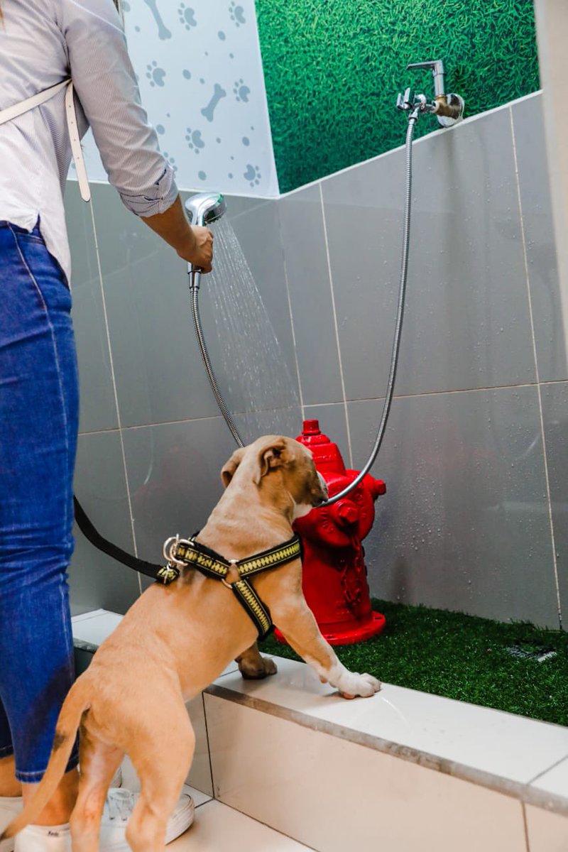 Noticiero El Salvador 🇸🇻 on Twitter "Los viajeros nacionales y extranjeros cuentan con una zona