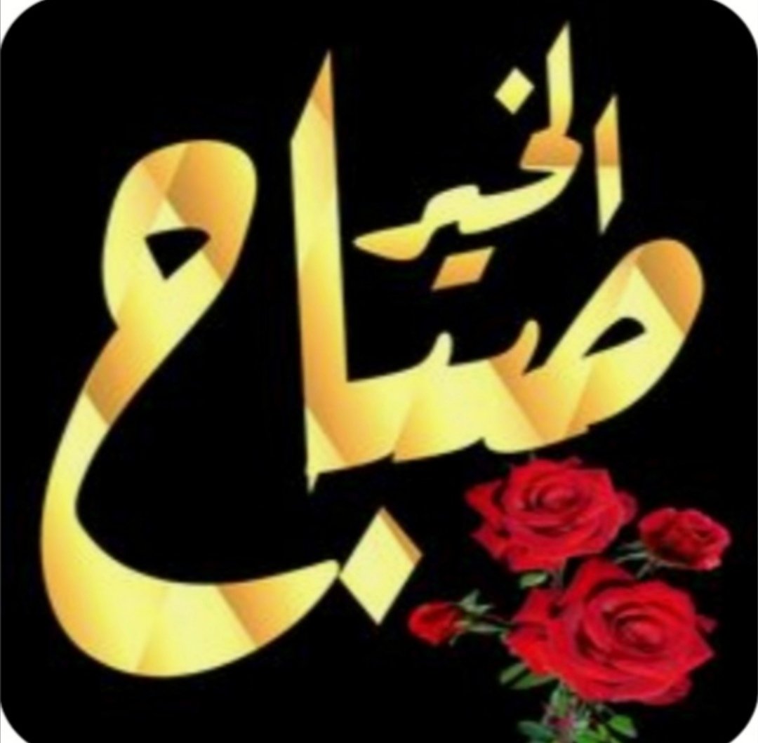 عواطف ابو زيد tweet media