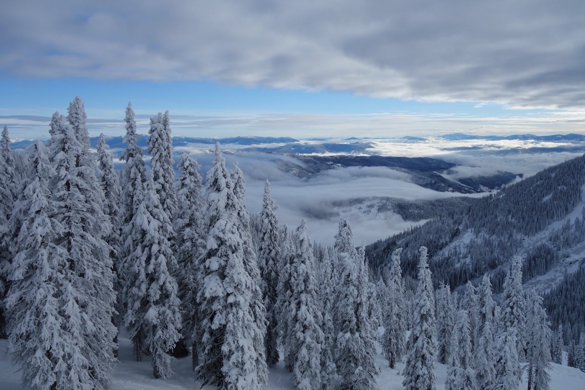 Fresh snow and the "Kootenay sea"! Does it get any better?

#Rossland #RosslandBC #ExploreRossland #GetOutside #TheGoodLifeAtRed