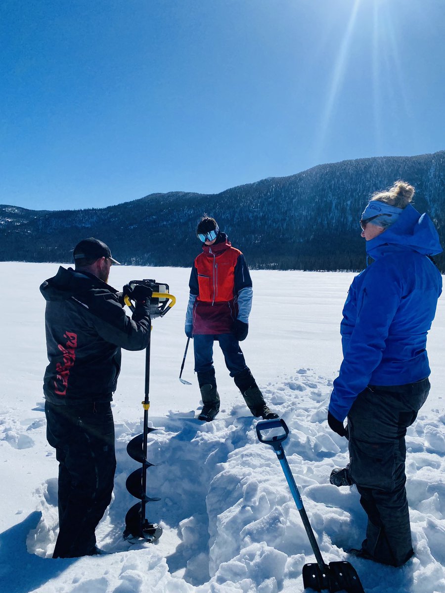Beautiful first day of winter field work in Gaspésie <a href="/louisechavarie/">louise chavarie</a> <a href="/Crea_cc/">CRÉA_CC</a>