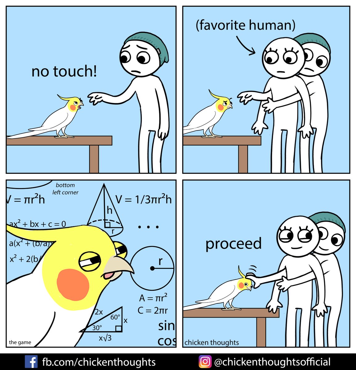 bird owner hack 