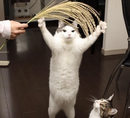 TO A PLENTIFUL HARVEST