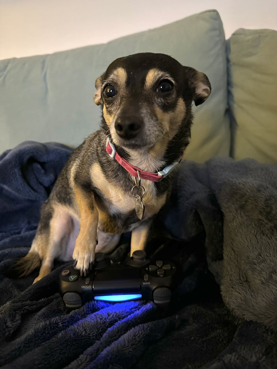 Gregplaysdrums tweet media