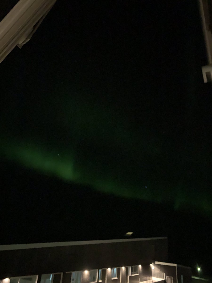 Dr. Sandra Maier tweet media