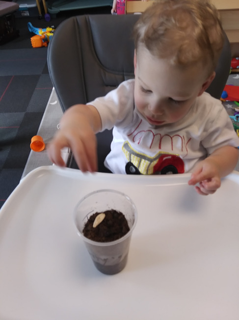 Kim Case tweet media