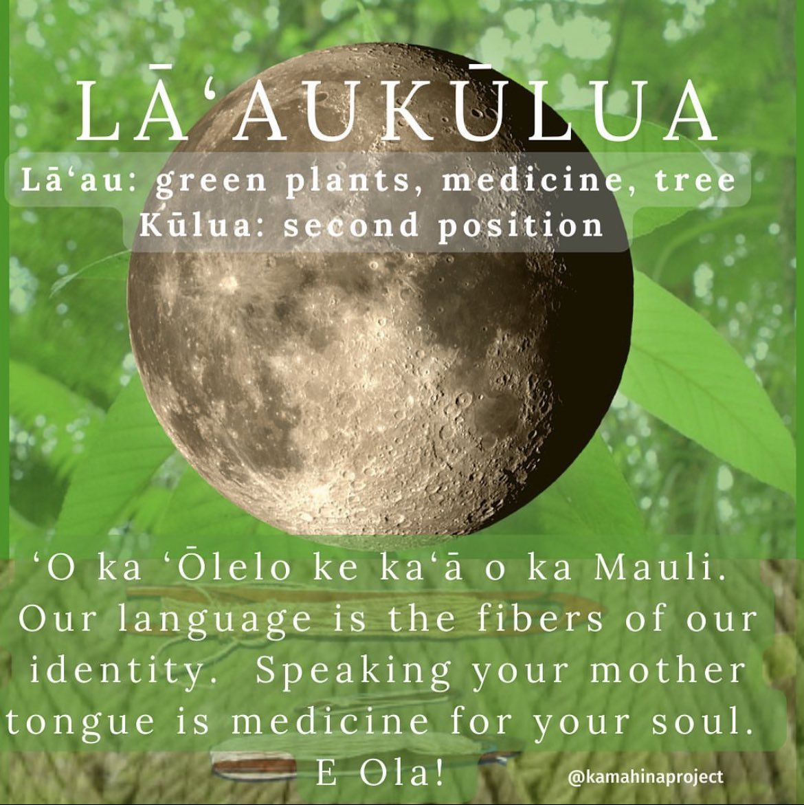 Lā’au moons are a time for checking in with your mental, emotional, and physical health!  E Ola! #lāaukūlua #lāaumoons #lāau #health #aloha