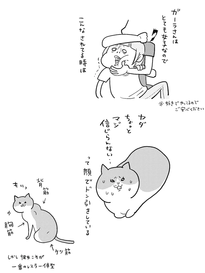 私がピンチだと思うとすぐ駆けつけてくれる猫さん。でも顔を見てドン引く事もある。