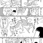私がピンチだと思うとすぐ駆けつけてくれる猫さん。でも顔を見てドン引く事もある。