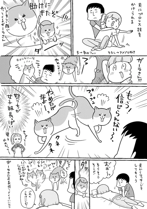 私がピンチだと思うとすぐ駆けつけてくれる猫さん。でも顔を見てドン引く事もある。