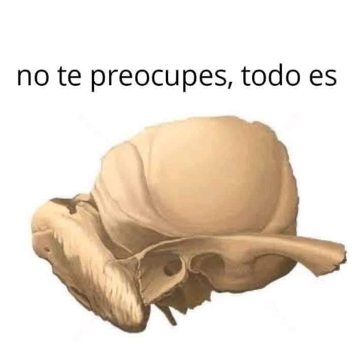 rinolitoo's tweet image. Así es