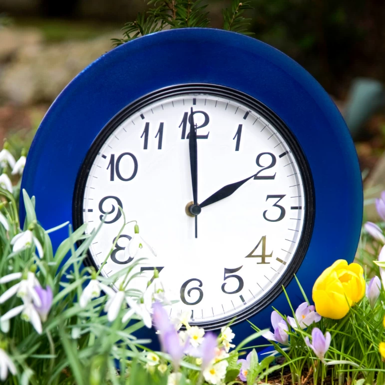 i convinced myself for a moment that DST *doesnt* begin tonight so i had to google it and here are my favorite clock images 