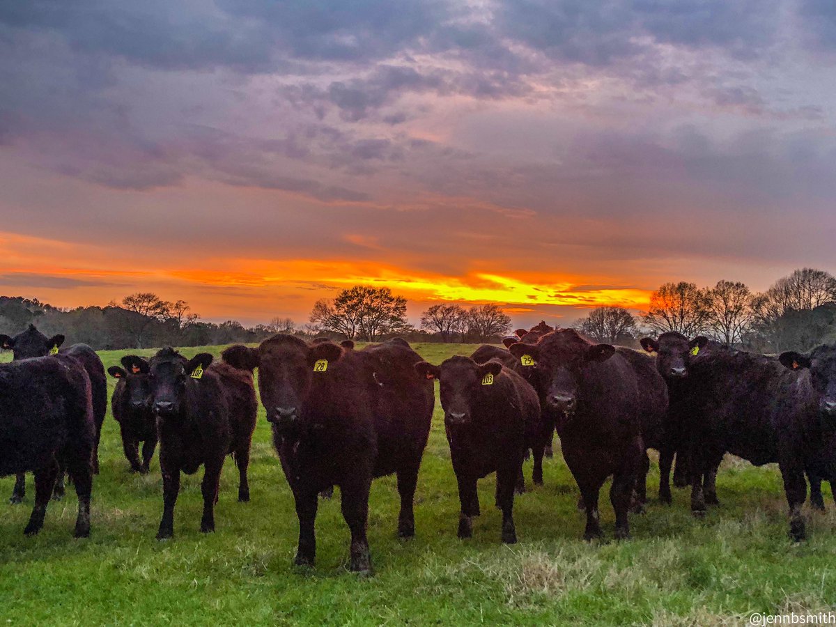 Saturday Night Lights #gawx #farmlifebestlife <a href="/spann/">James Spann</a>