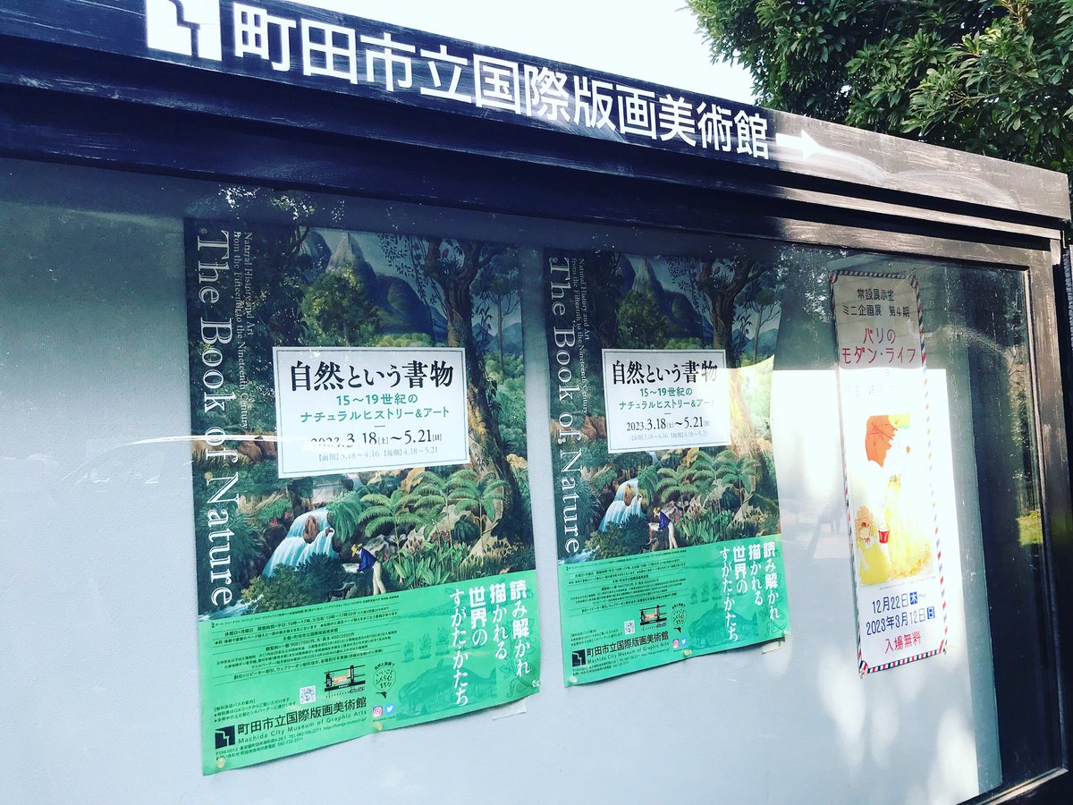 公式ショップ公式ショップ自然という書物 図録 書 | blog.connectparts