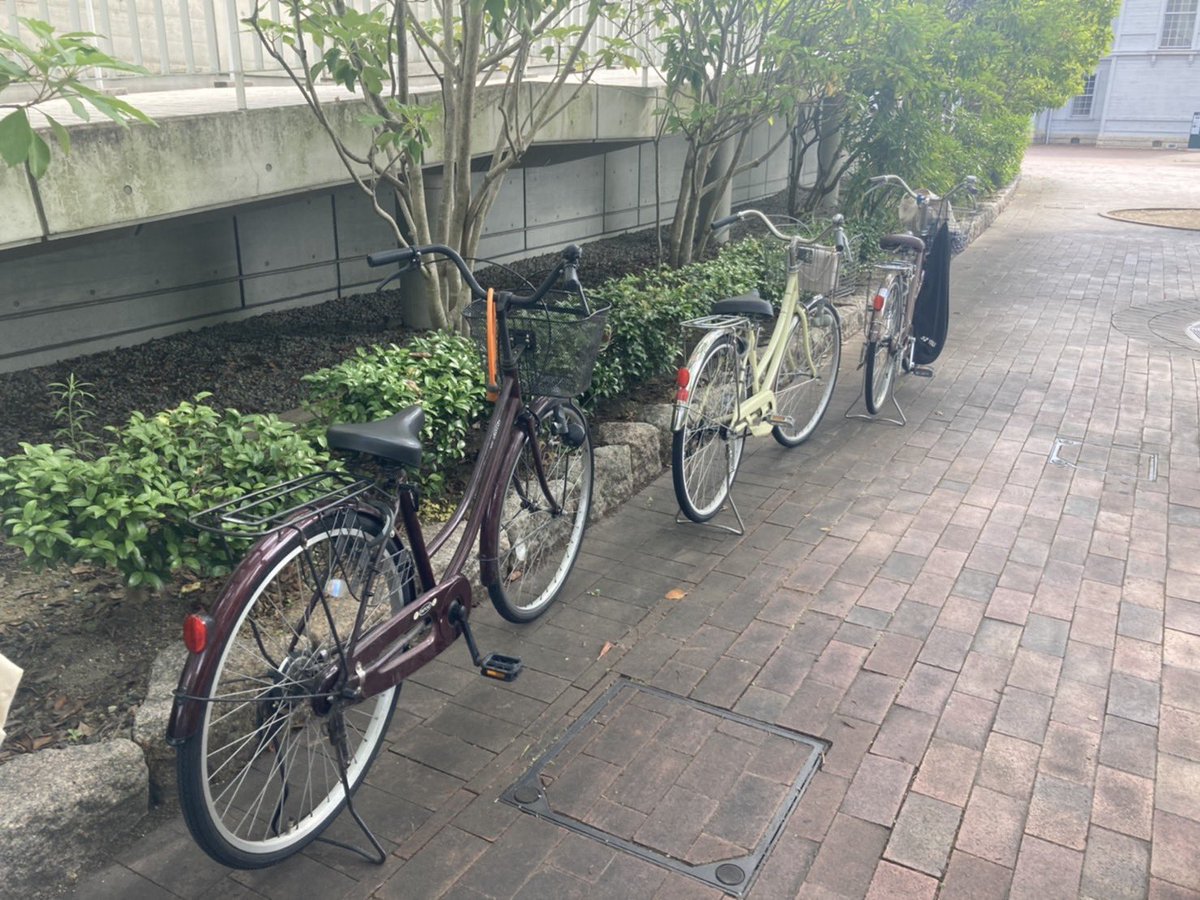 maitoparta1's tweet photo. 〜あの日のまいぱる〜

まいぱる名物！縦列駐輪！！！🚲🚲🚲 https://t.co/cWg17yDJFv