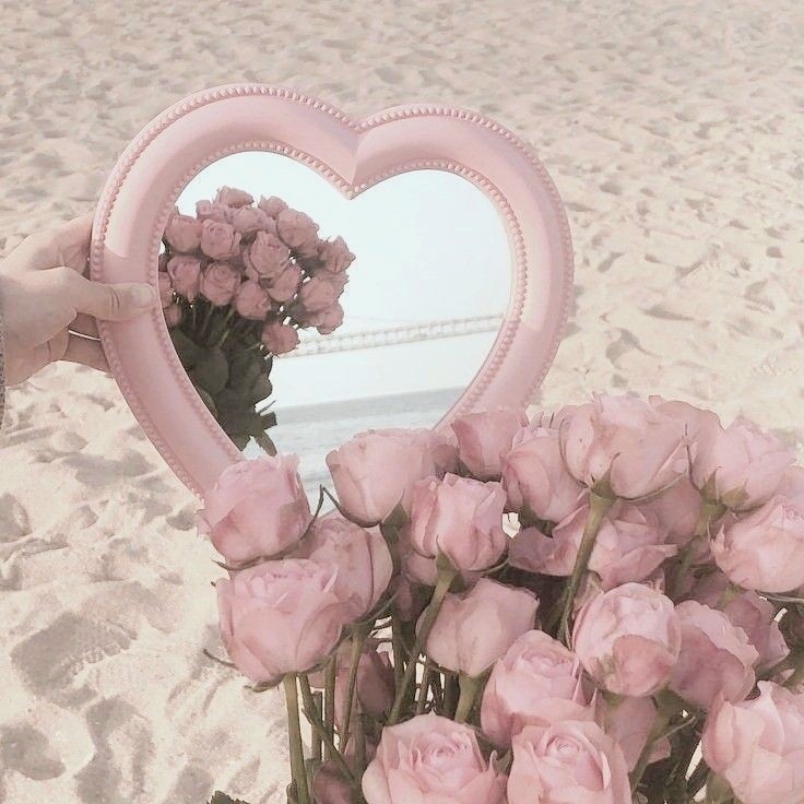 ૮(˶•˕•˶)ა tweet media