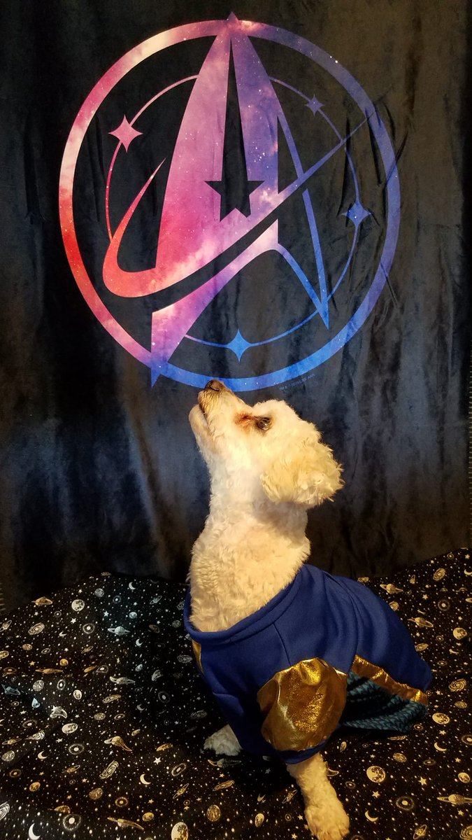 This is my baby Saru, he was a little jealous that Spock Bear got to meet <a href="/actordougjones/">Doug Jones</a> on the Star Trek Cruise and he did not. #trektwitter