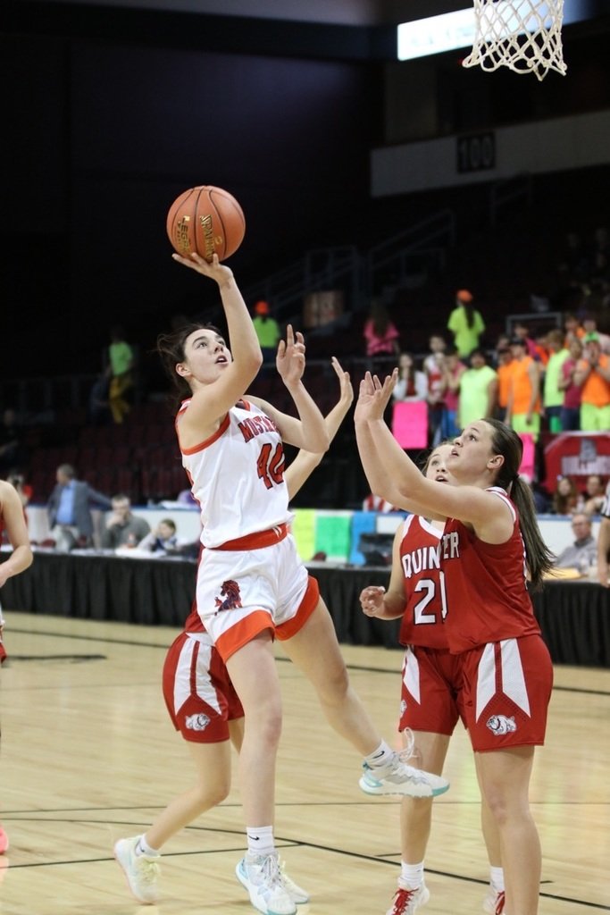 DoniphanW's tweet photo. The Doniphan West Lady Mustangs are Class IA Div I Basketball Champions!!

The Lady Mustangs defeated Quinter in the State Championship, 55-49. 

Congratulations on a great season, ladies!!

#MustangPride https://t.co/cTEiB4ninx