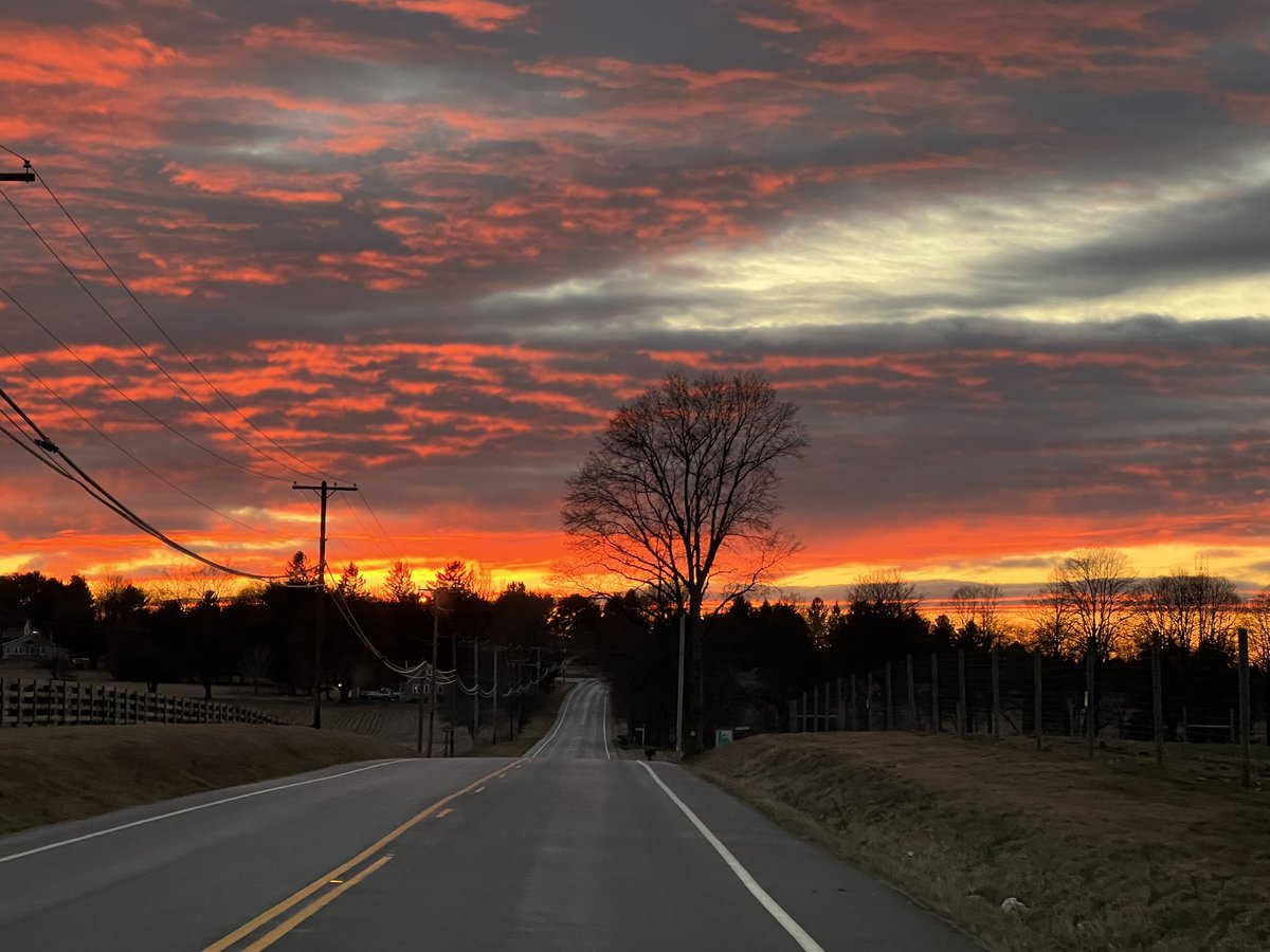 Edna Bercaw tweet media