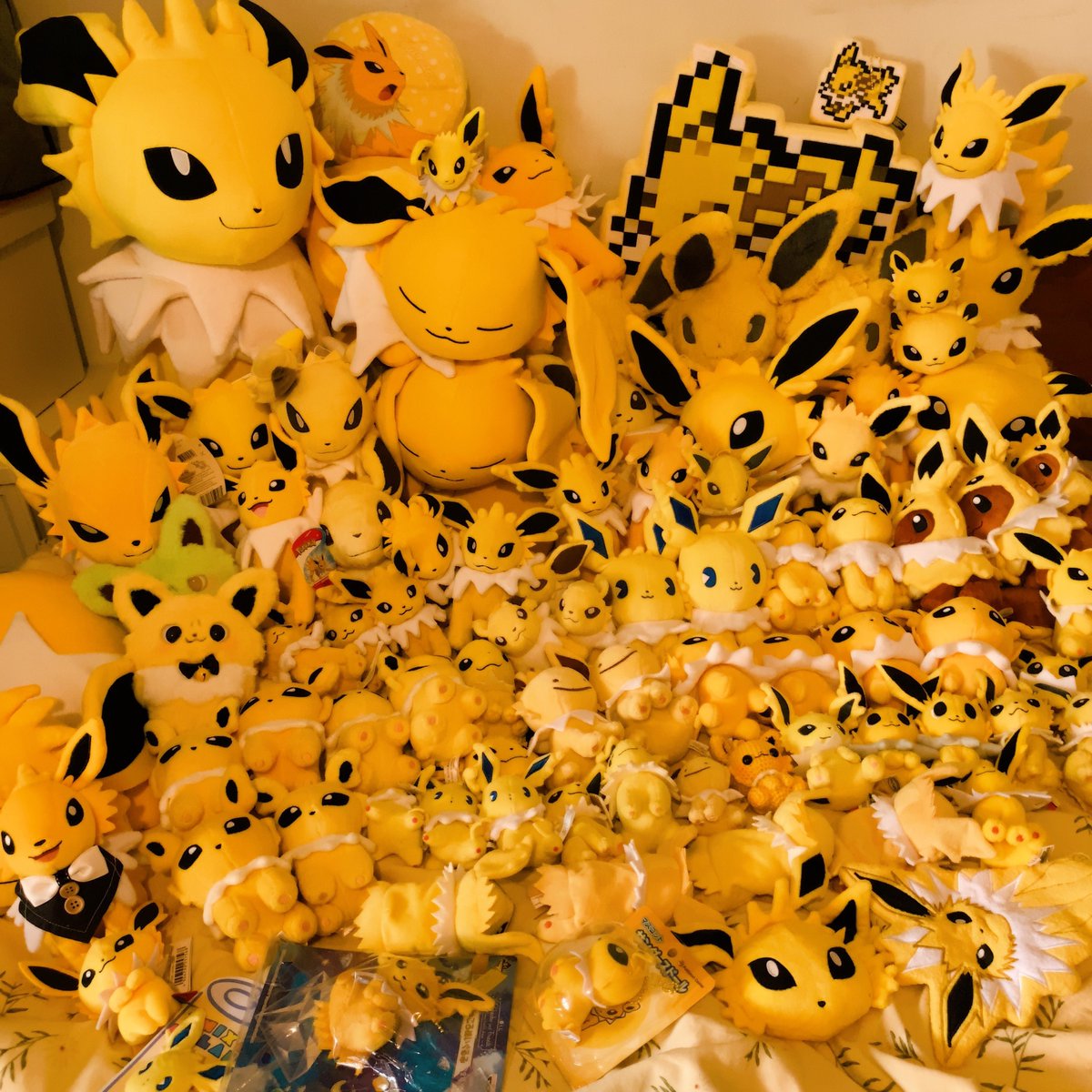 #サンダースの日