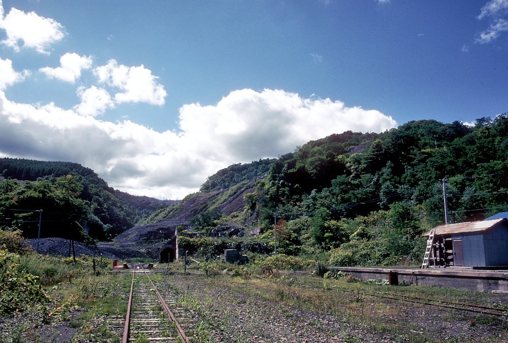 びびっ!(+。+) on Twitter