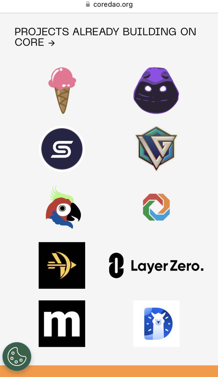Satoshi⚡️CORE 🔶⛓️ tweet media