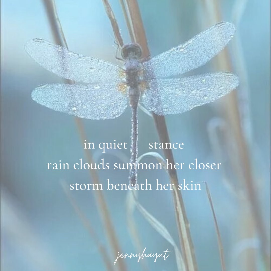 in quiet stance 
rain clouds summon her closer 
storm behind her skin