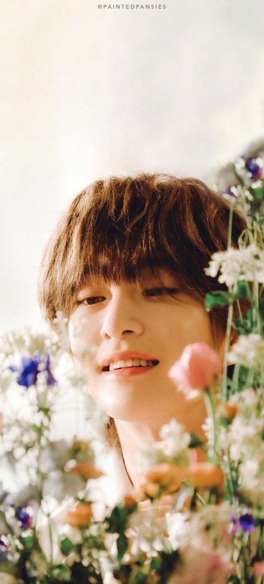 cindy 🎨 tweet media