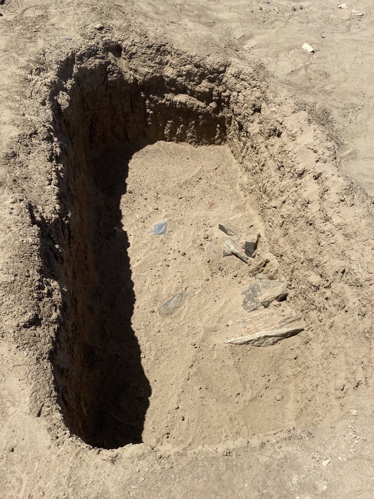 diversenile's tweet photo. One last tomb to excavate in GiE 003, then we are done for this season! This Classic Kerma burial was reused with a niche cut into its northern side, not visible in this photo, but the stone slabs also come from the reuse - more, when we are done with it #Ginis #Sudan https://t.co/JwS5ilUZz3