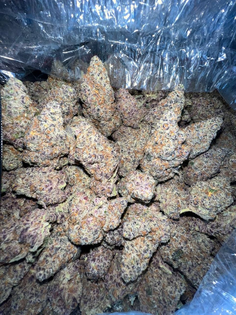 Istoe_1's tweet photo. Fire fire 🔥⛽💨💨
https://t.co/1hcIoKtZWt
#Ogcalibuds420 #BossStatusGenetics #Goodsmoke #Topshelf #Buyweed #Gethigh
#Calibuds #Cannabiscomunity #Goodweed #Stoners #Cannabisculture #Cannabislife #Weedfarm #Cannabislegalization #Weedlovers #Weedsmokers #Weedgrowers #Vapepens #Wax https://t.co/B8zXe010ag