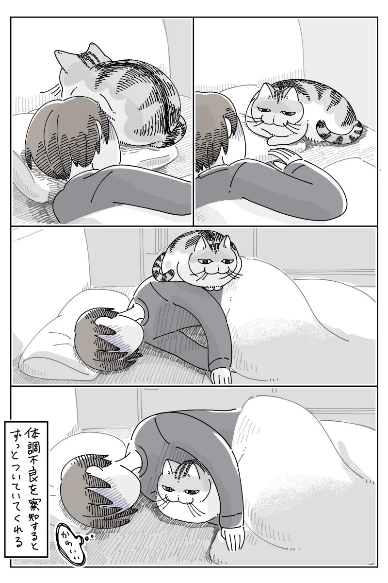 体調不良で寝込んでいると･･･！可愛くて癒されちゃう「猫漫画」が話題に！