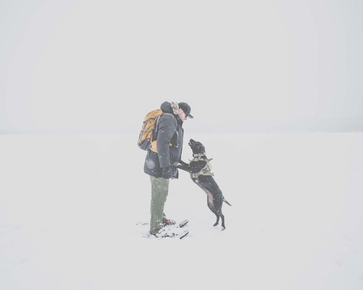 To the ends of the earth would you follow me 🐶
What's the best breed of adventure dog?
.
.
#adventuredogs #blacklabpuppy #hikingadventure #hikinggear #snowshoes #idaroaming #getoutdoorsmore #backpackinglife #thenorthfacejacket #visitidaho #snowsports
