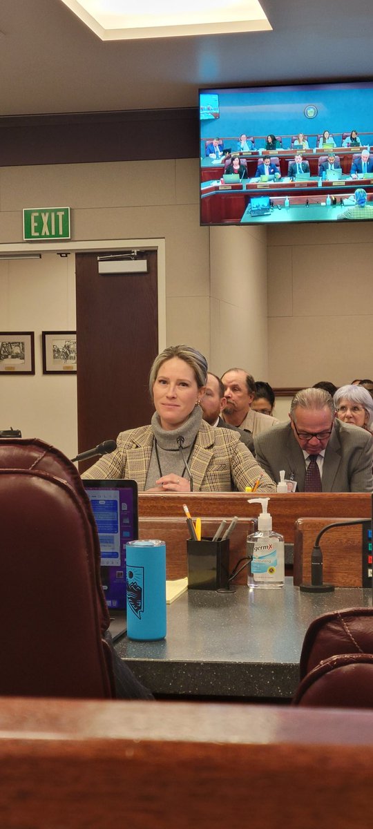 MichelleGorelow's tweet image. Another long night in #LegOps hearing AJR3 and AB192. Thank you both @VoteSarahPeters and @CeceliaGNV for sharing your pain with us on #environmental and #voting issues.  Appreciate everyone providing testimony.
