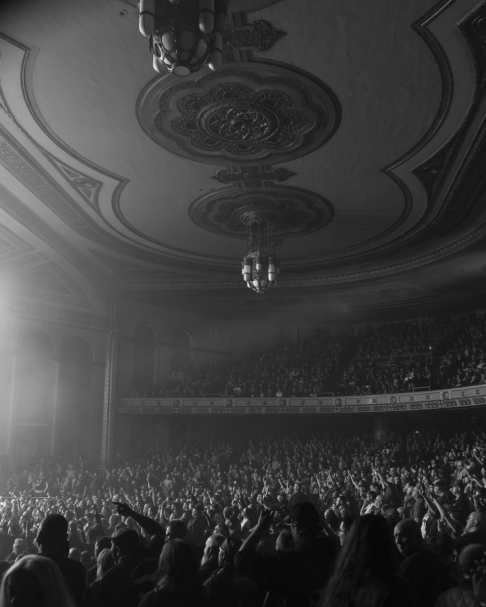 toddgilleland 🖖 tweet media