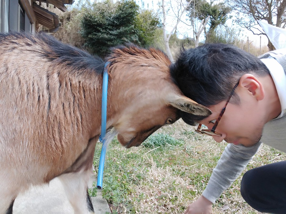 kikuchi99x's tweet photo. 遊んでもらった
#ヤギ #行方市
#民泊 #rezou https://t.co/Sj1D3YlzRe