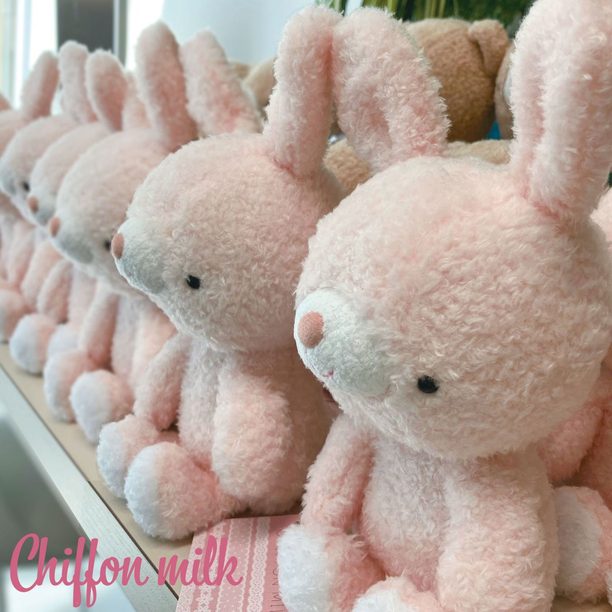 monseuil_staff's tweet photo. 皆で並んで発売を待っているのは、ぬいぐるみのシフォンミルク達です♪ふんわり柔らかい触り心地と優しいカラーに癒されます☆本日発売しましたので是非ご覧くださいませ😆(クマもいますよ~!🐻)
#MONSEUIL #モンスイユ #ぬいぐるみ #ぬい撮り #ウサギ #クマ #ふんわり #ガーリー #ぬいぐるみ好き https://t.co/Fs3dybO5EB
