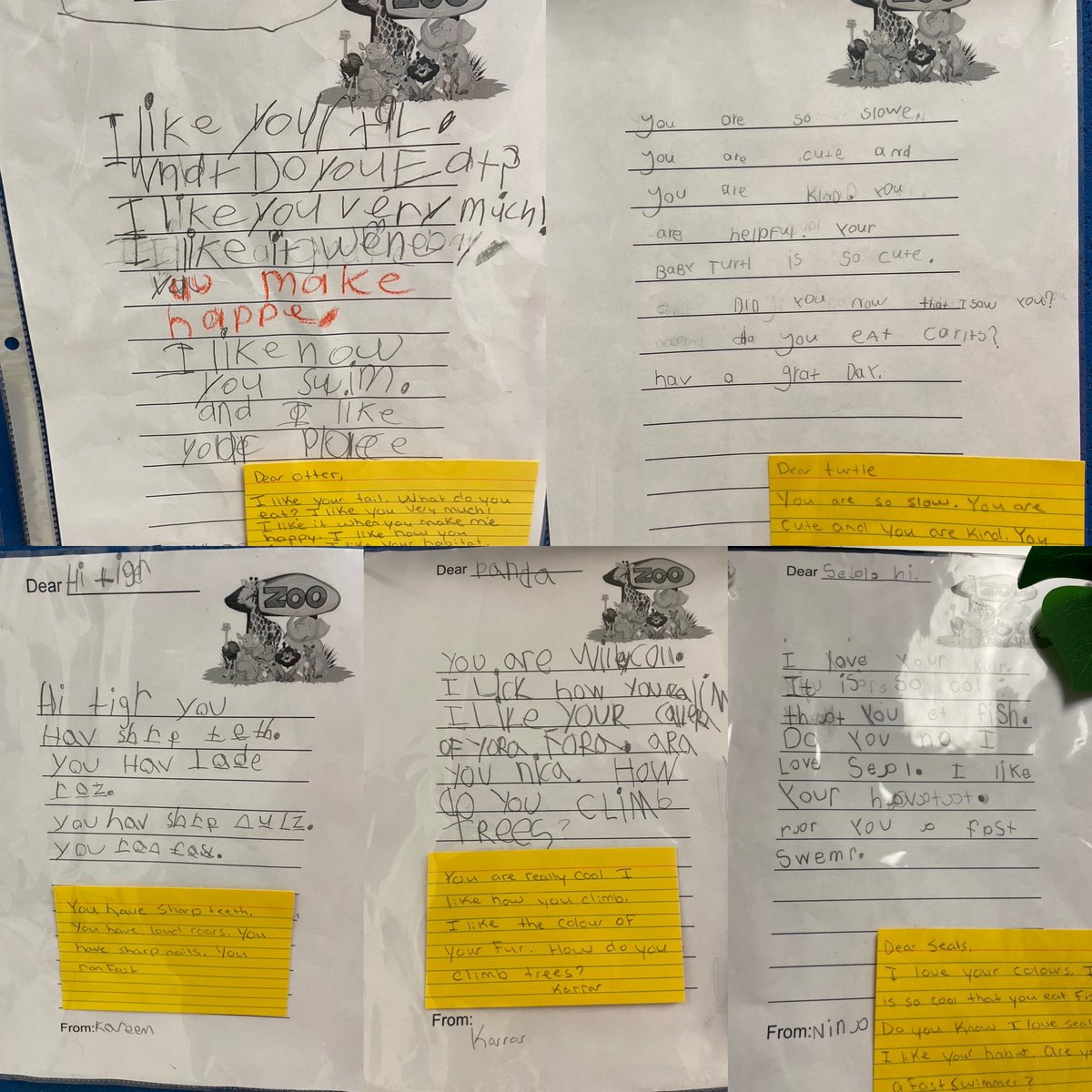 After reading ‘Dear Panda’ along with Ms.McBurney’s class, we wrote letters to send to the animals at the <a href="/TorontoZooBot/">Toronto Zoo</a> . Afterwards we decided to create our own zoo by researching what type of habitats to build for our different animals. Ss we’re so proud! <a href="/SirIsaacBrockPS/">Sir Isaac Brock PS</a>