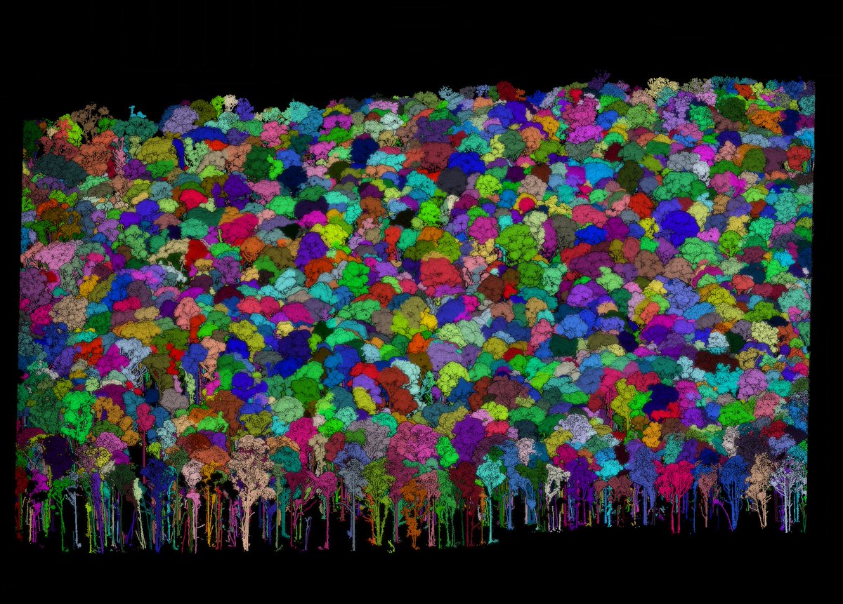 Shaun Levick tweet media