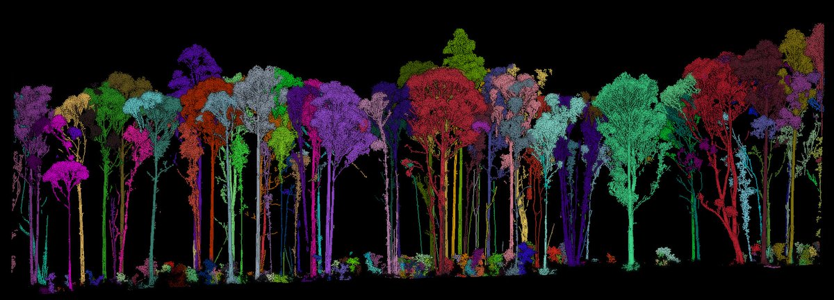 Shaun Levick tweet media