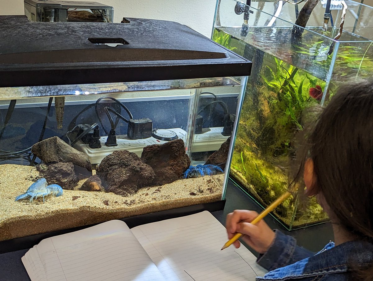 Brandy Kaminski, MSCIN tweet media