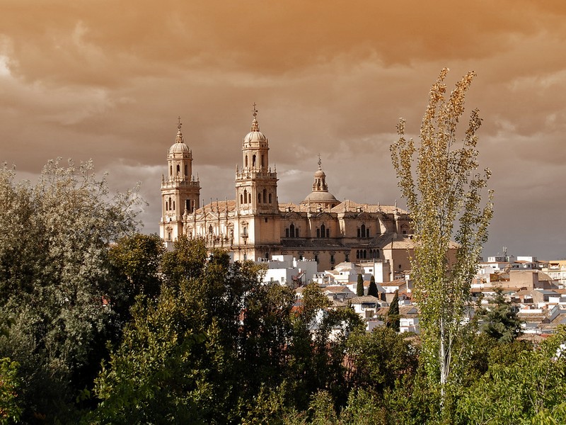 victoriamolcc's tweet photo. Jaén siempre te va a tratar bien 🫒💚 https://t.co/Ex0asq6koy