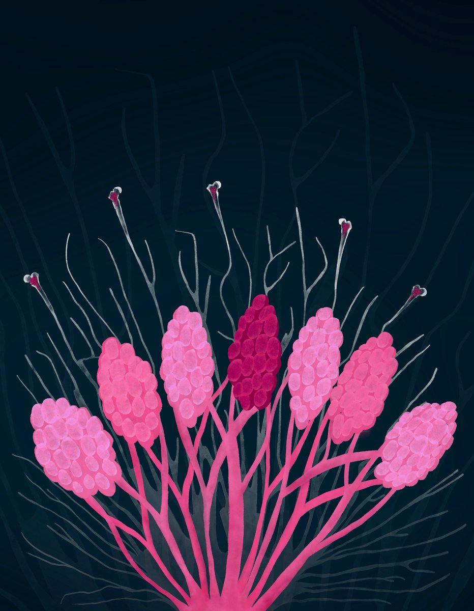 Now online in <a href="/CD_AACR/">Cancer Discovery</a>: p38MAPKa Stromal Reprogramming Sensitizes Metastatic #BreastCancer to #Immunotherapy - by Douglas Faget, <a href="/sastewartlab/">Sheila Stewart</a> and colleagues @WUSTLCellBio <a href="/WUSTLmed/">Test Account</a> aacrjournals.org/cancerdiscover…