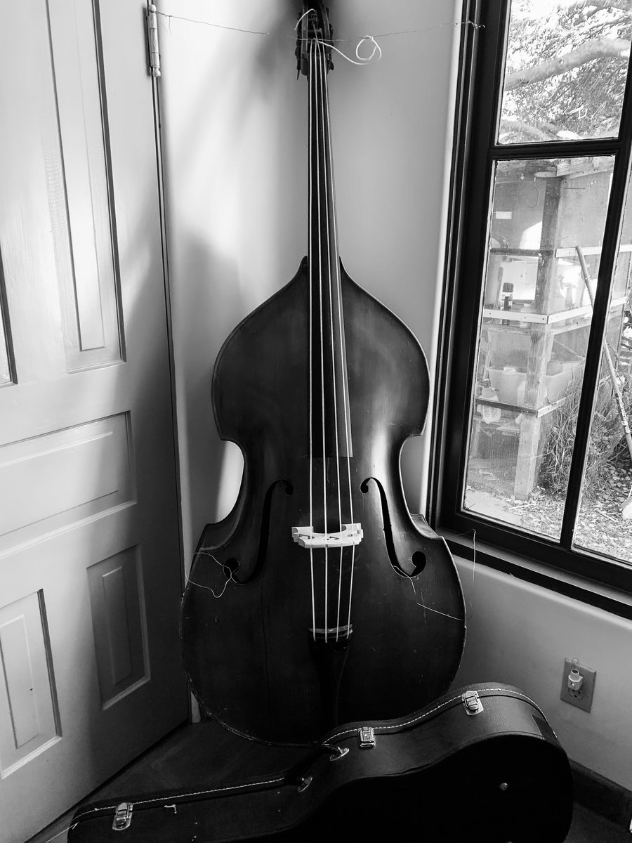 A stand up bass...standing up. #tuesdayattoms #artphotography #etsystore #fineartamerica #digitaldownloads #mountedprints #blackandwhitephotography #musicalinstrument #bassguitar #standupbass