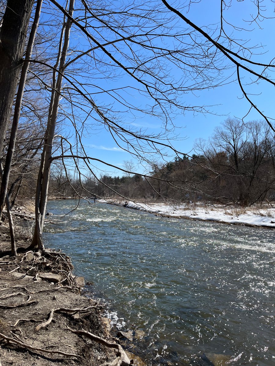 The peace and calm of <a href="/yourriverwood/">The Riverwood Conservancy 🍁</a> is what we all needed today. Thank you Jane for sharing  your knowledge and appreciation for the land with our grade 5/6 students. #biodiversity #energyconservation