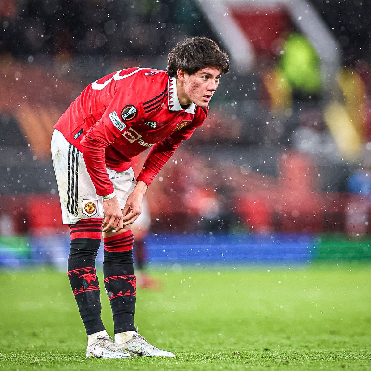 FPellistri07's tweet photo. this is how we do it! 👊🏼

come on Manchester United! ❤️ https://t.co/RzADwfC5Nx
