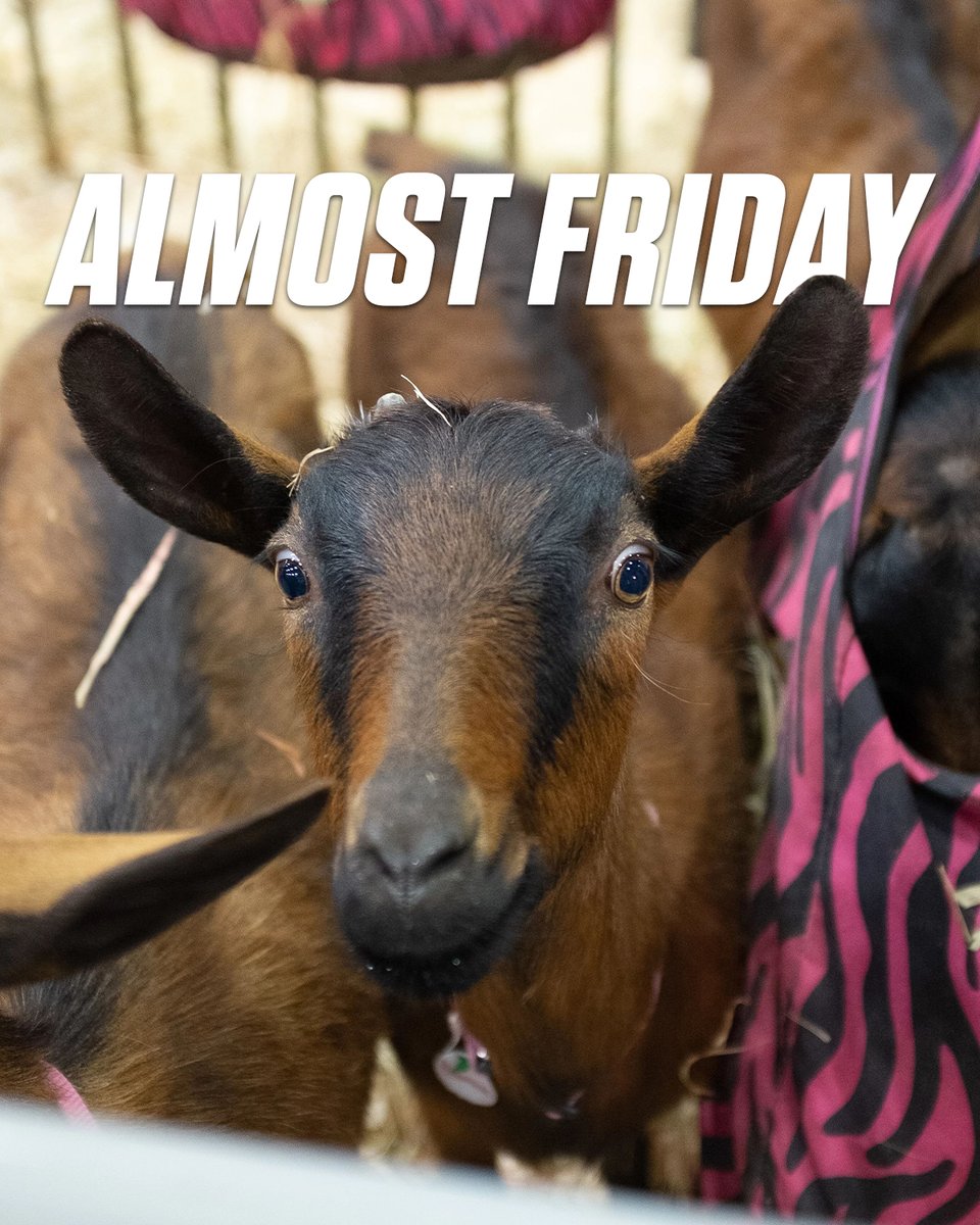 RODEOHOUSTON's tweet photo. It's about that time https://t.co/zZMtW3Cqeo
