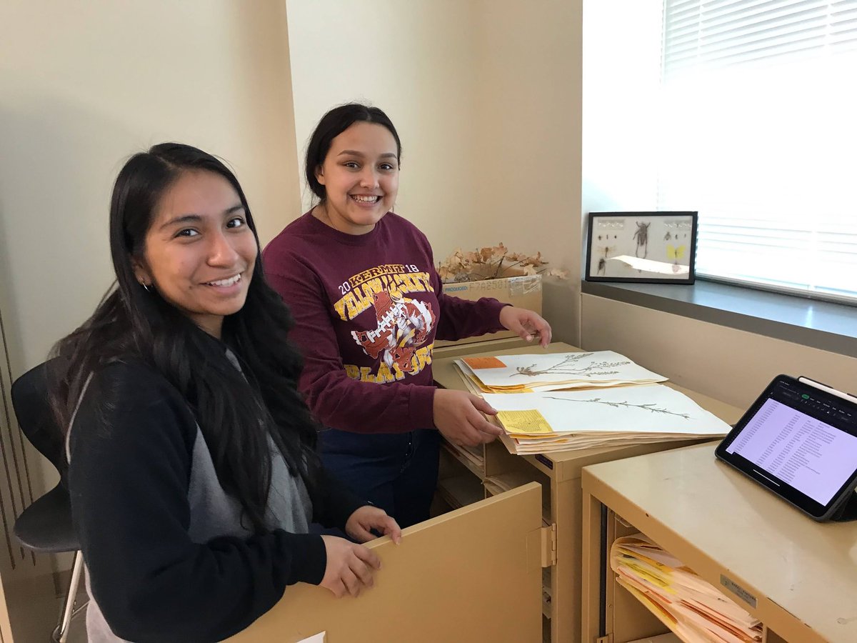 UTPB faculty and students work together on a research project funded through the HSI-STEM grant. Read about their project to digitize the UTPB Herbarium on campus at the link below! 

ow.ly/rsz850NbgS7

#UTPB