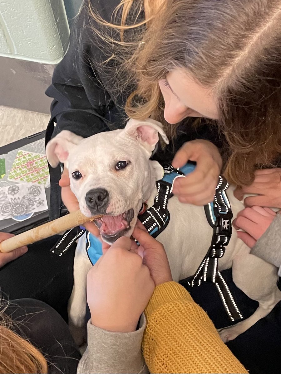 Sara Schymick tweet media